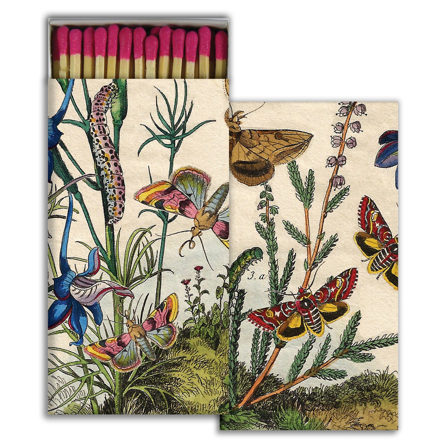 box of matches printed with insects and greenery, partially open showing pink tip matches inside.