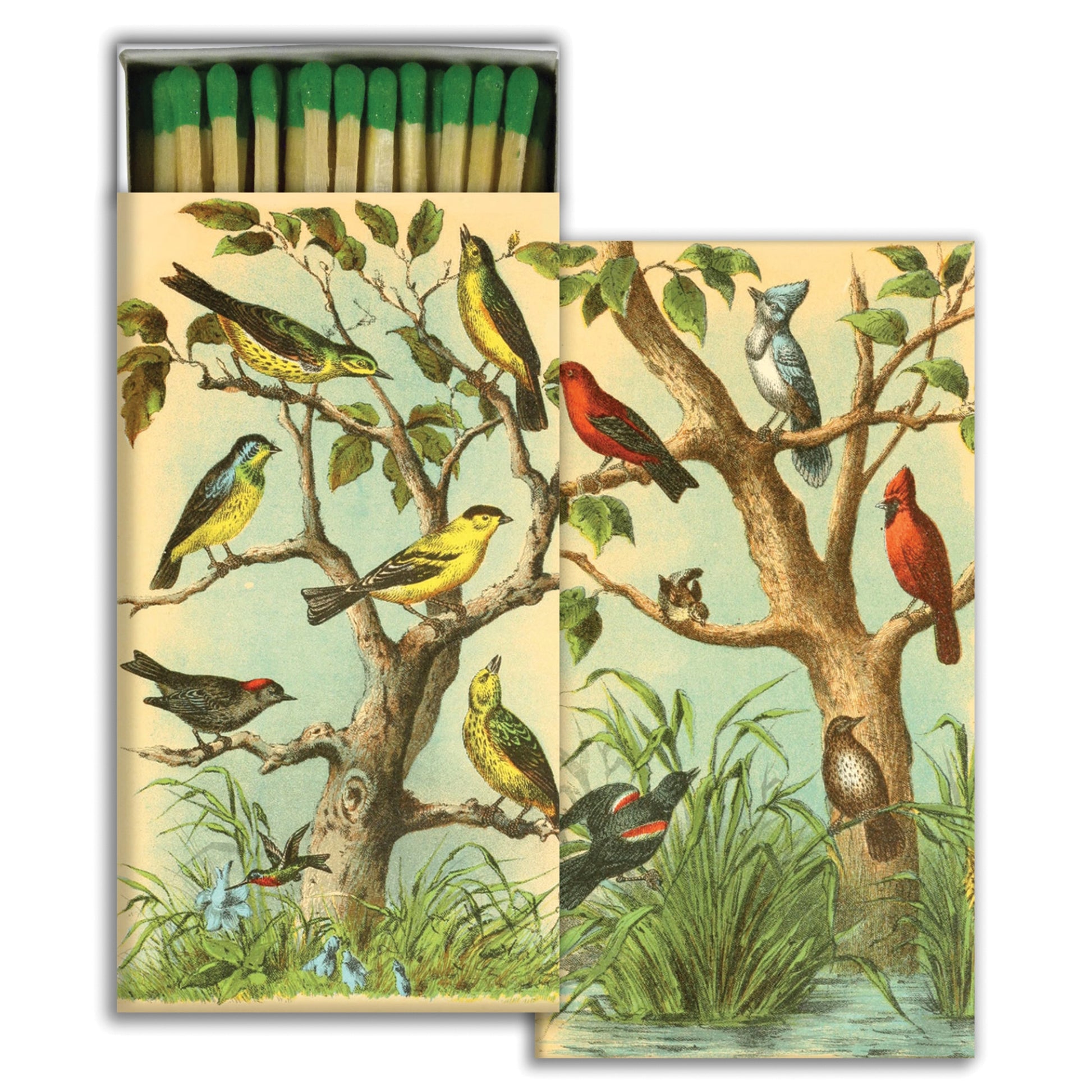 box of matches printed with birds in trees design partially open showing green tip matches inside.