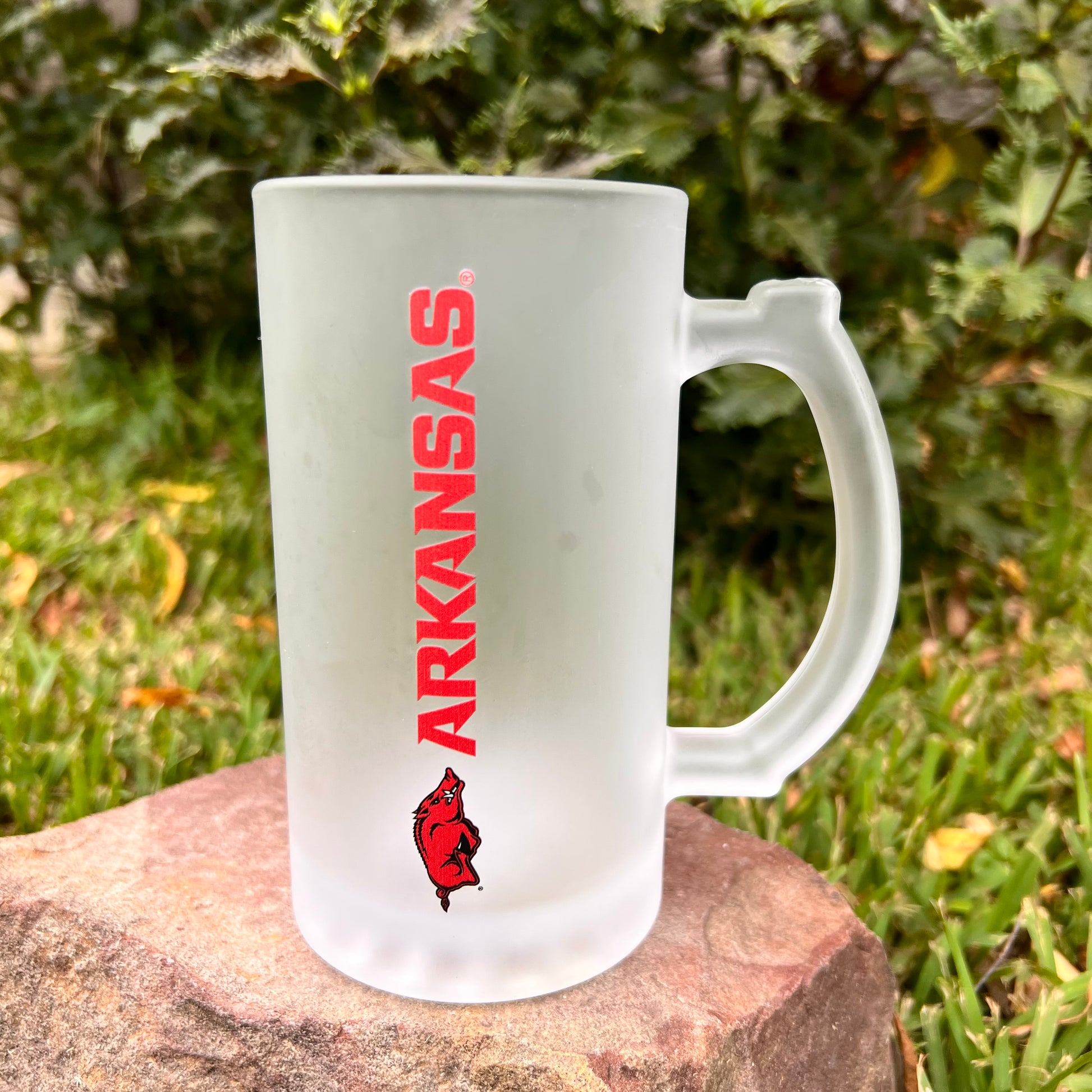 Frosted glass mug with Arkansas razorback logo and Arkansas printed on it.