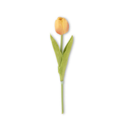 single stem of a yellow-orange tulip 