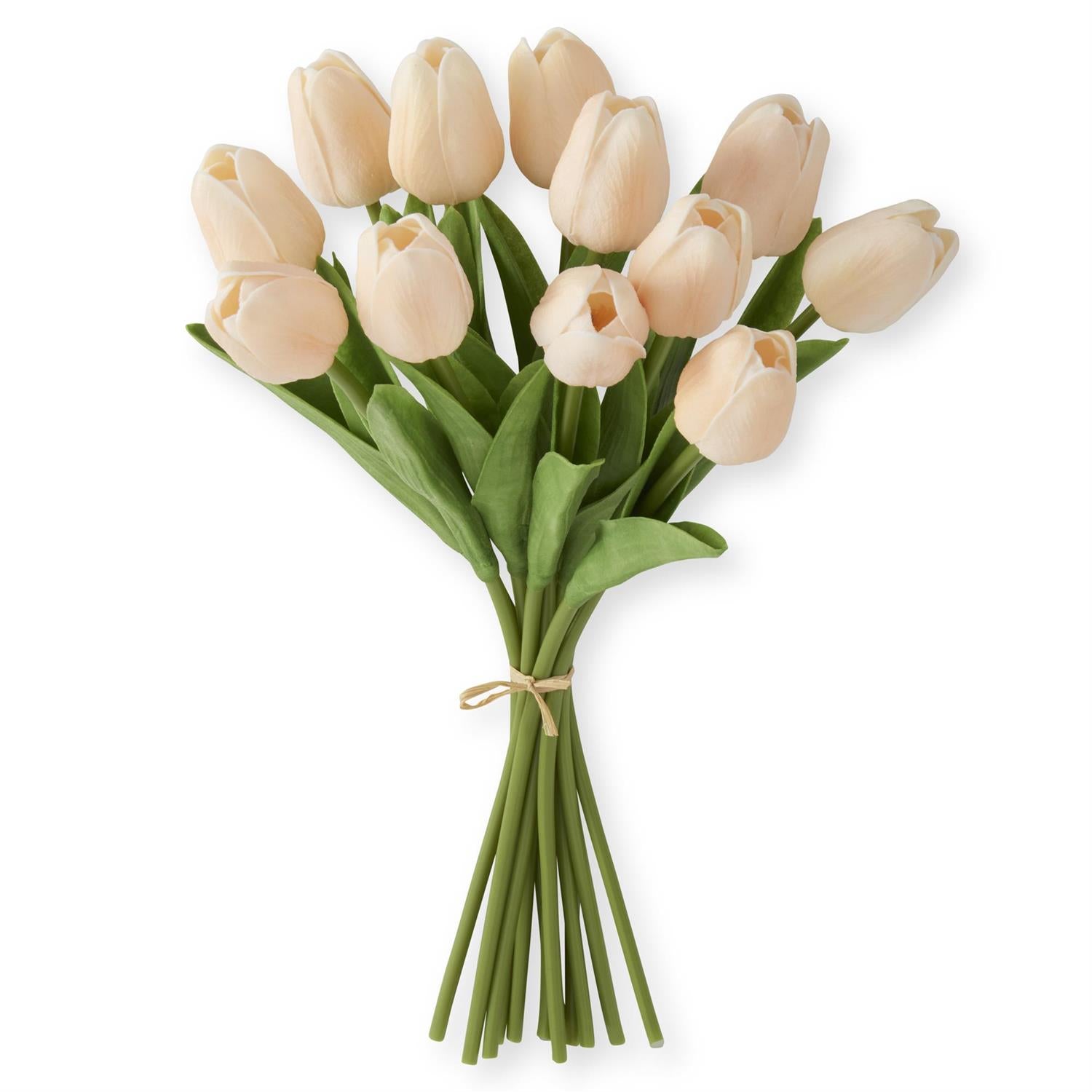peach colored tulips in a bundle of 12