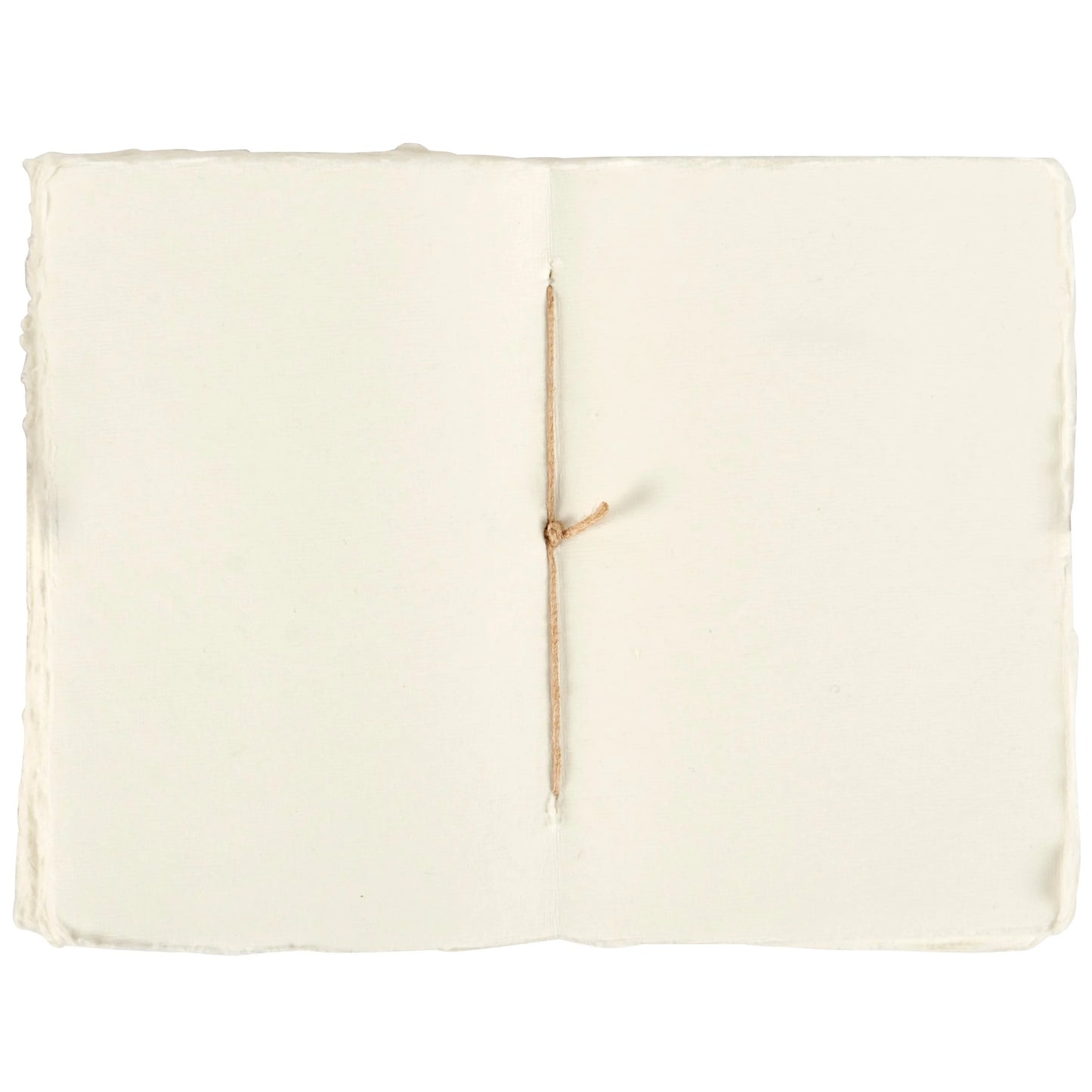 interior view of art nouveau notebook's blank pages