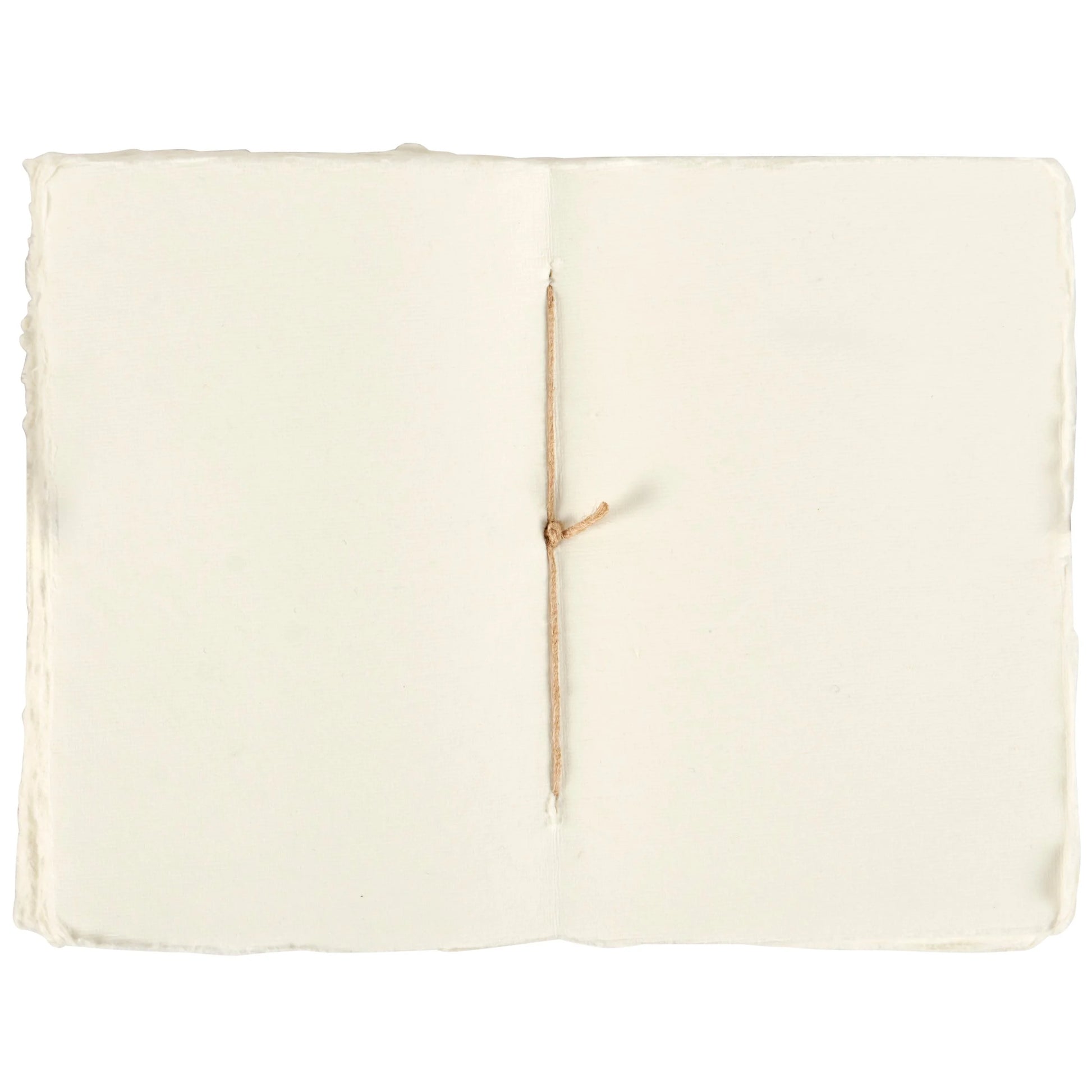 interior view of art nouveau notebook's blank pages