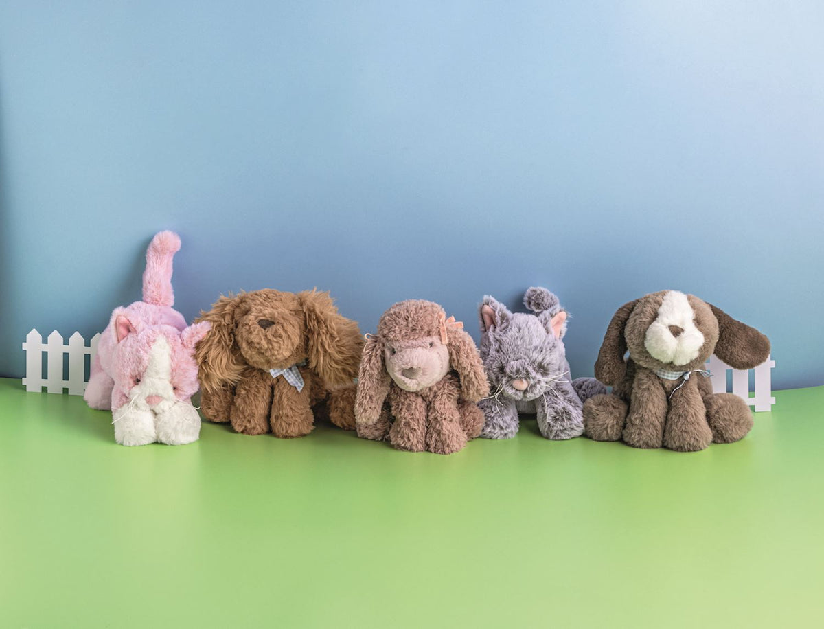 plush kittens and puppies in a decorated setting