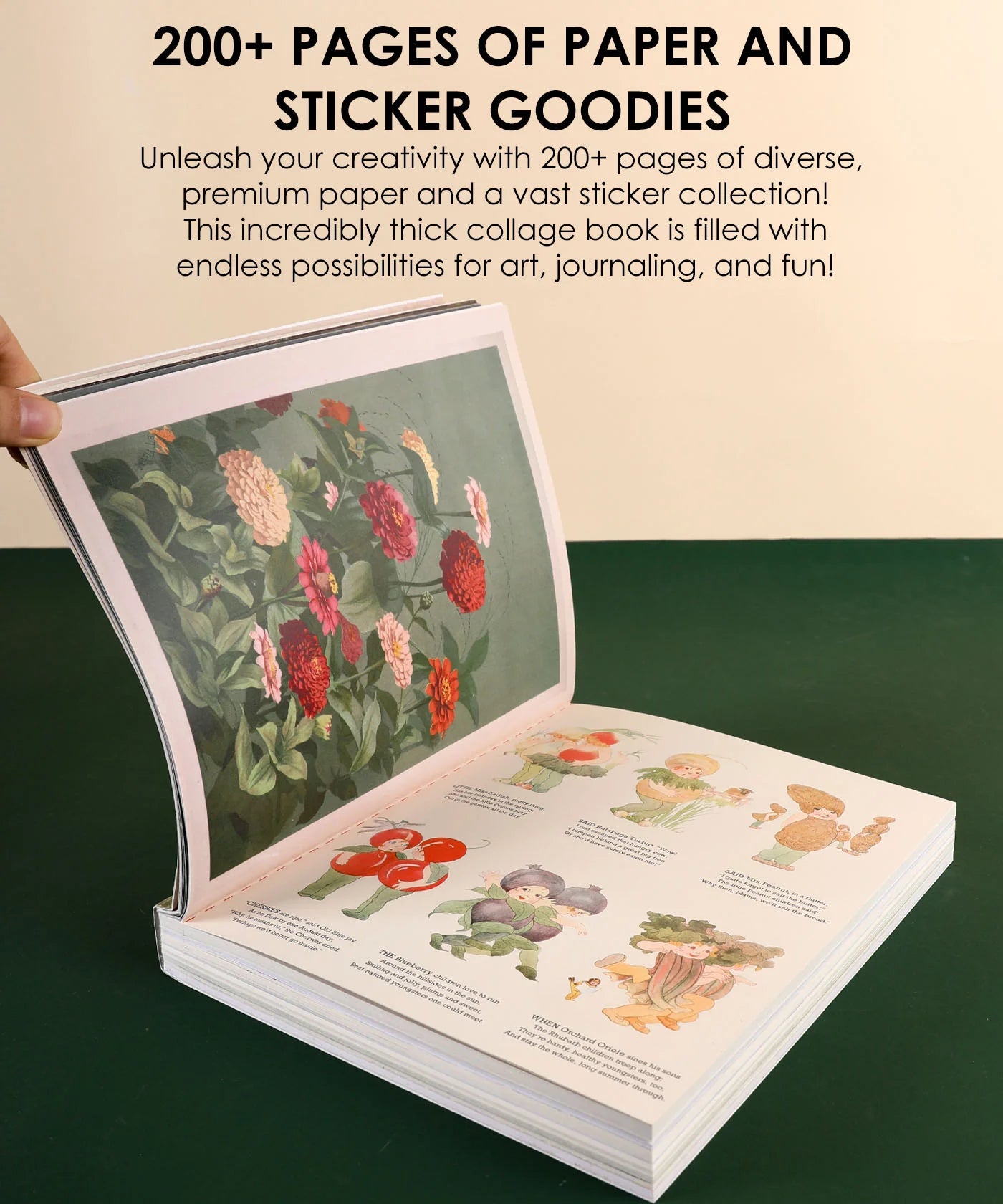 Open book with floral illustrations and text about 200+ pages of paper and sticker goodies.