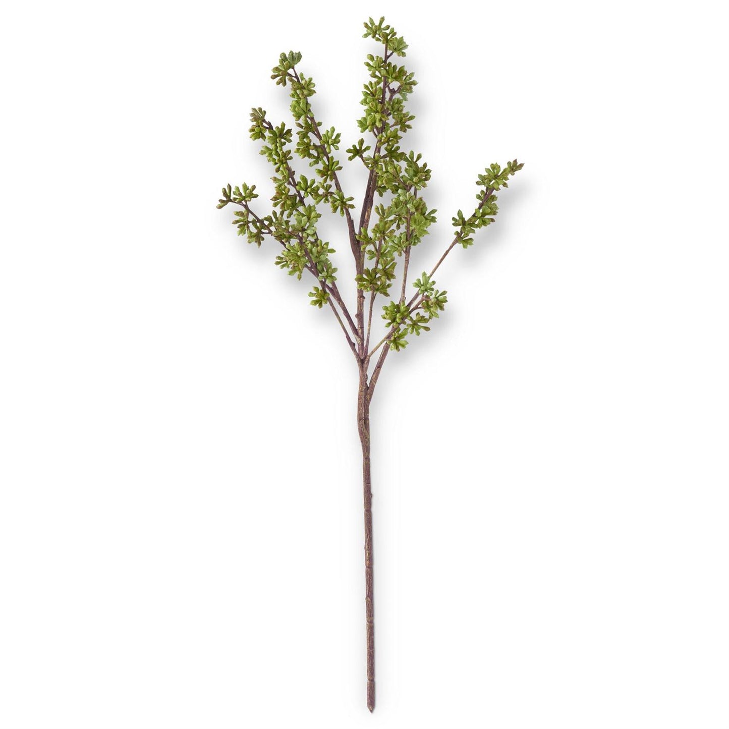 decorative greenery stem with tiny green buds on it