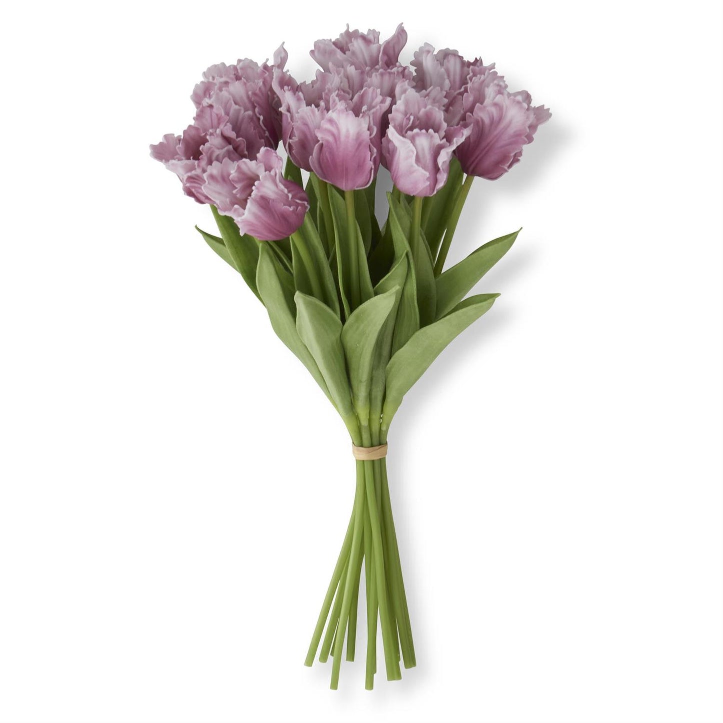 bundle of 12  purple parrot tulips
