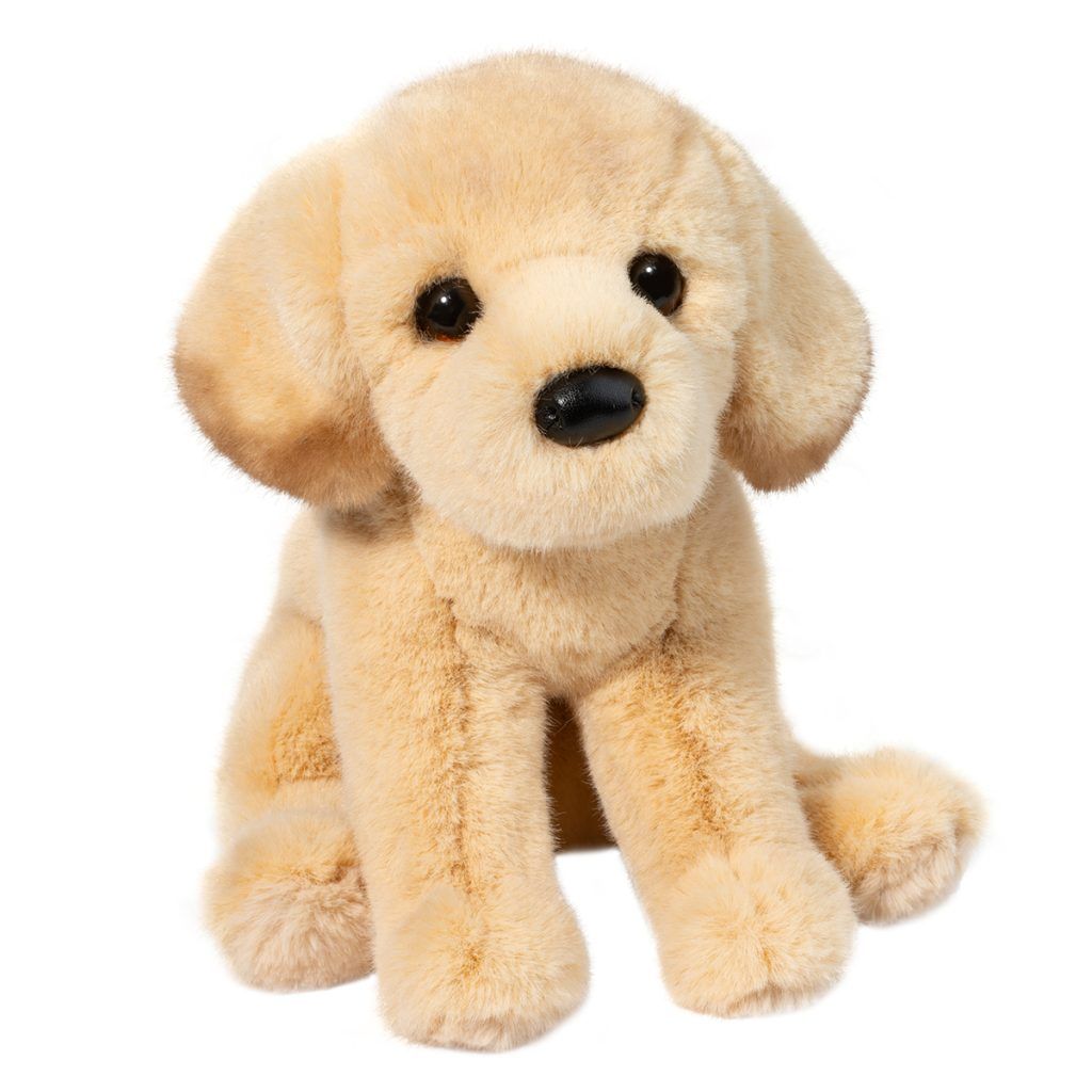front view of Ace Yellow Lab
