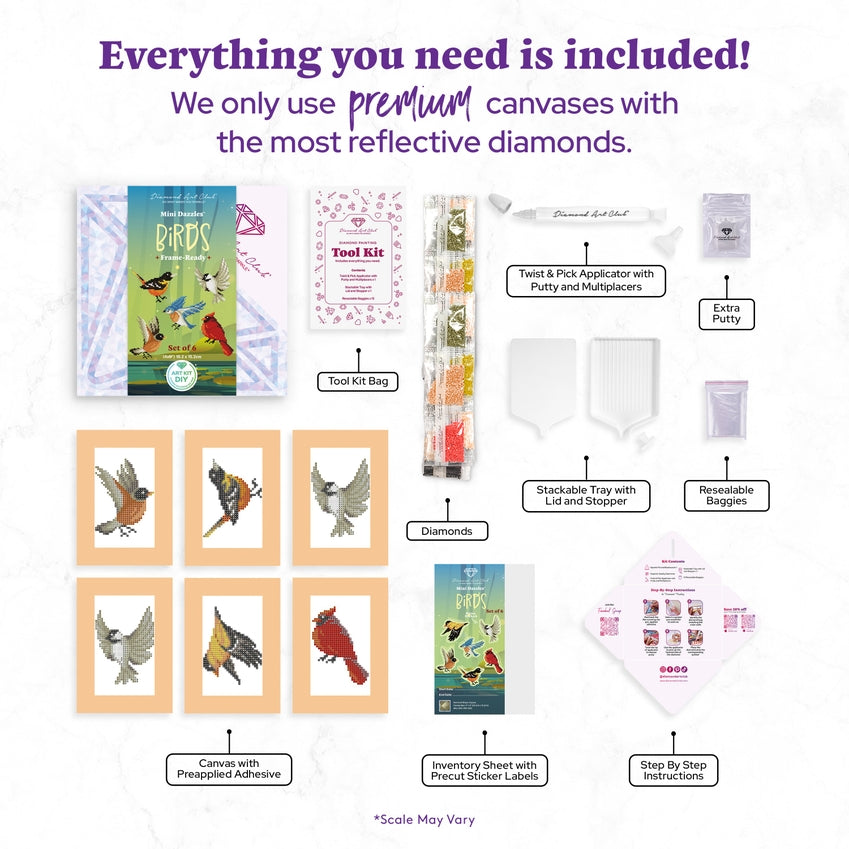 image of all the items included in the kit