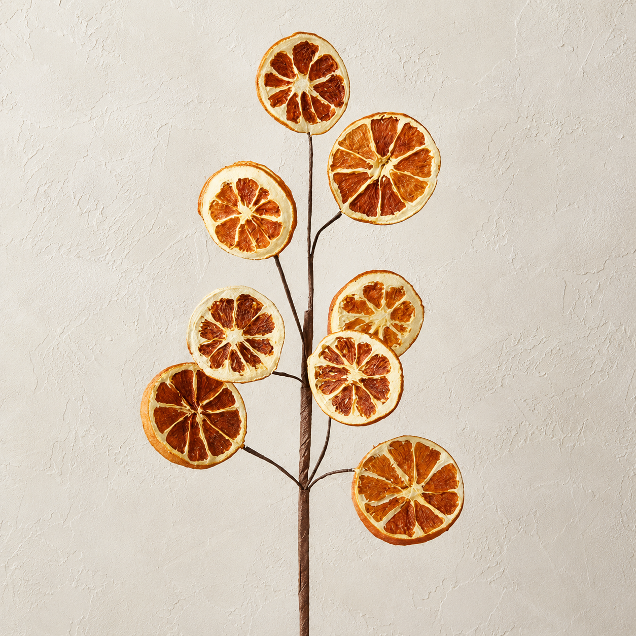 A decorative dried citrus branch  featuring multiple round dried orange slices mounted on a dark brown branch, set against a textured off-white wall.