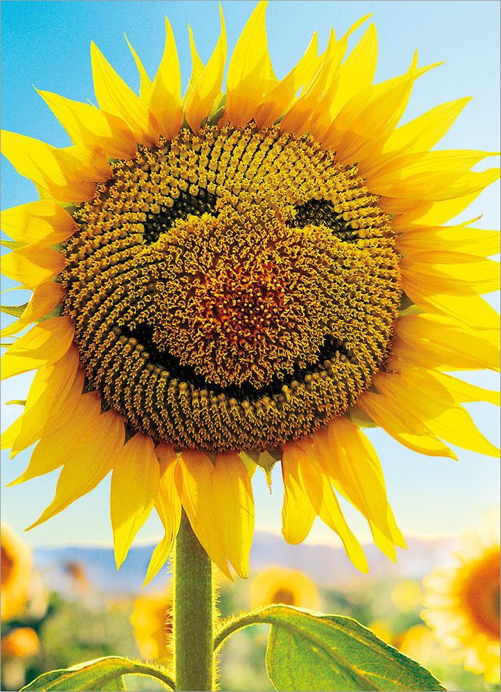 front of card is a sunflower with a smiley face