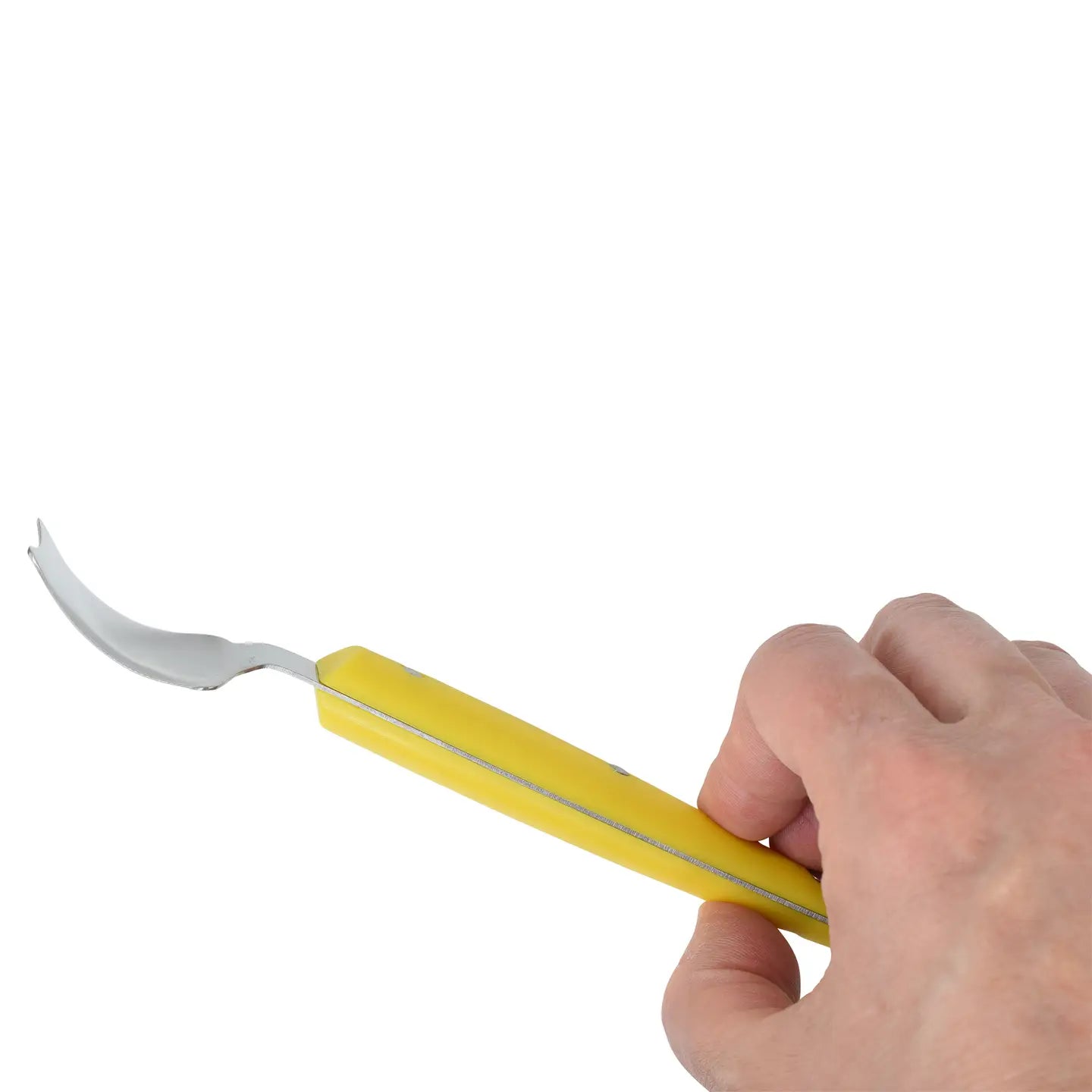Hand holding a corn butter knife with a curved blade on a white background