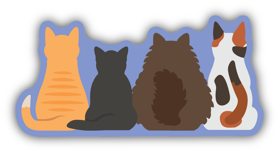 back side of four different sized and colored cats sitting down
