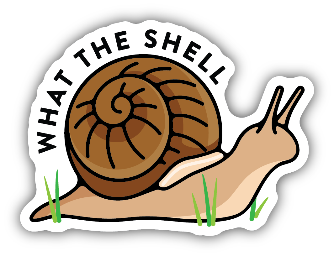 brown snail with text "what the shell"