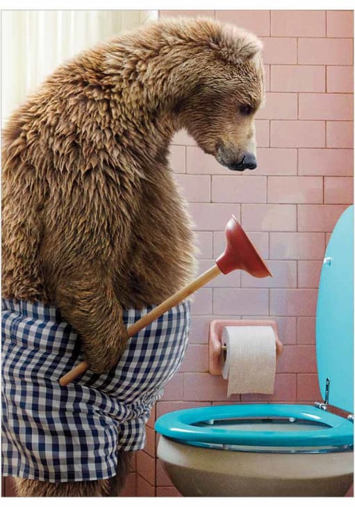 front of card is a bear with boxer shorts on standing in front of a toilet holding a plunger