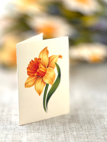 close-up of enclosure card with an english daffodil printed on it.