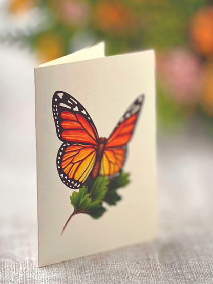 close-up of enclosure card that has a monarch butterfly printed on it.