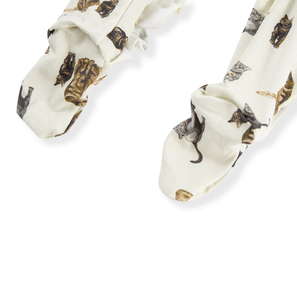 close-up of feet on cat romper