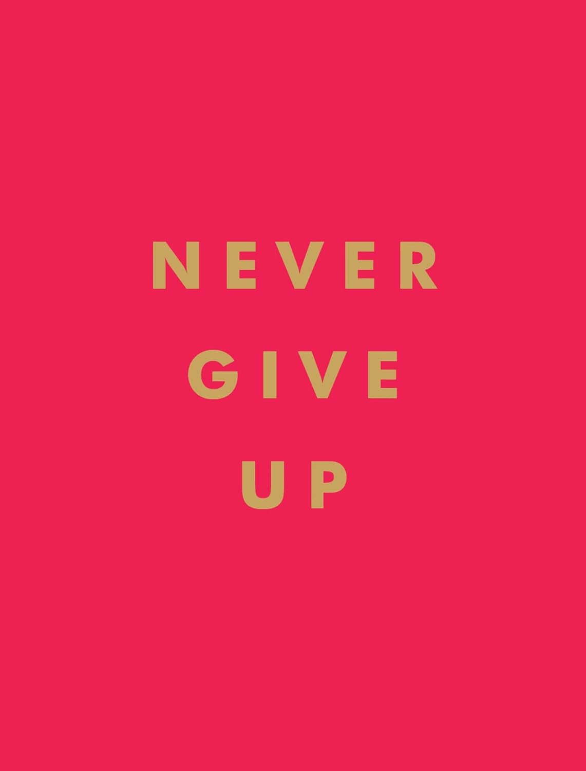 Motivational quote 'Never Give Up' in gold on the bright pink cover of book