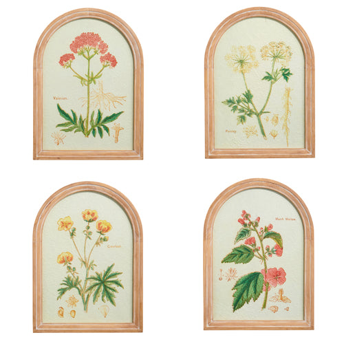 4 styles of framed botanical prints with arched frames.