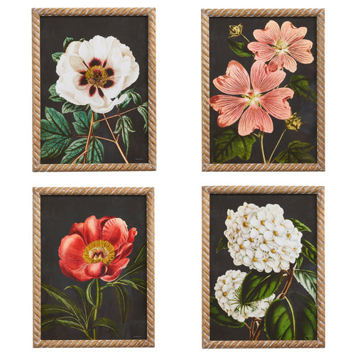 4 assorted framed floral prints.
