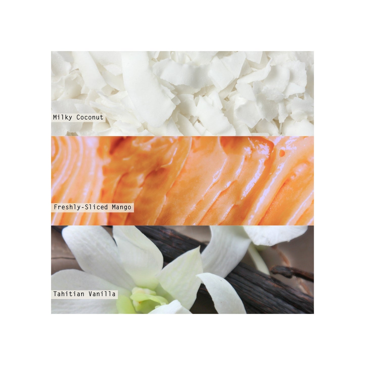 fragrance notes