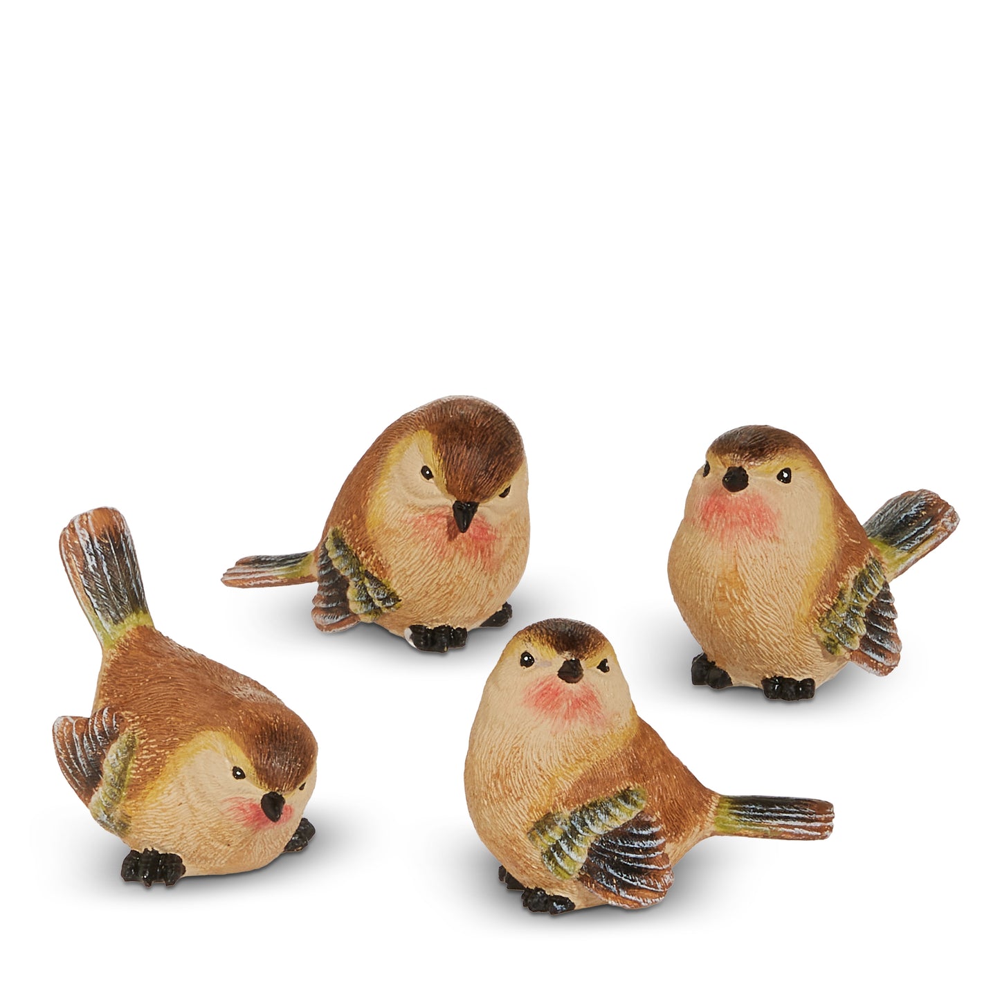 4 wren birds sitting together on a white background