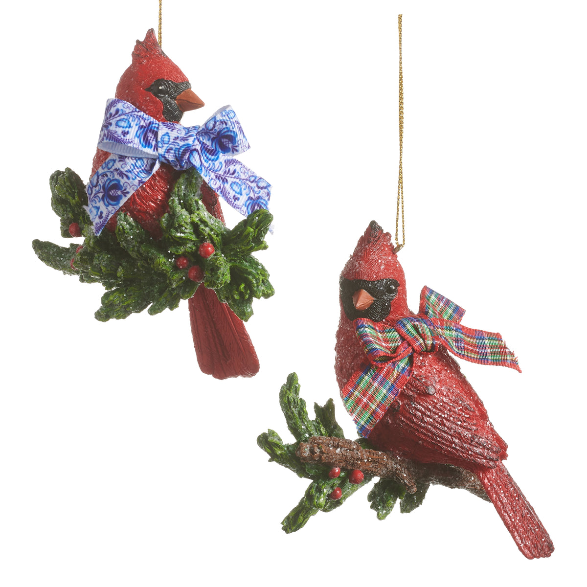 2 Cardinal with Holly sprig wearing a plaid Bow Ornaments on a white background
