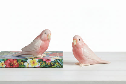 Two ceramic parakeet figures on a white surface one is on a book titled 'Tropical Flowers'