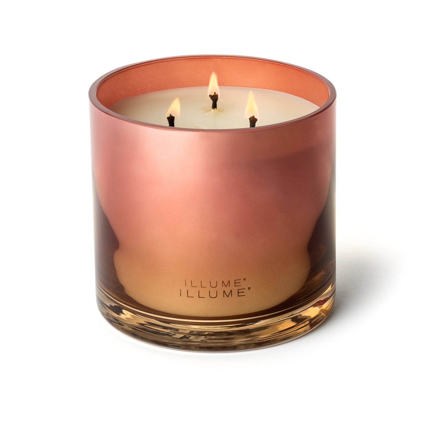 Paloma Petal Statement Glass Candle on a white background