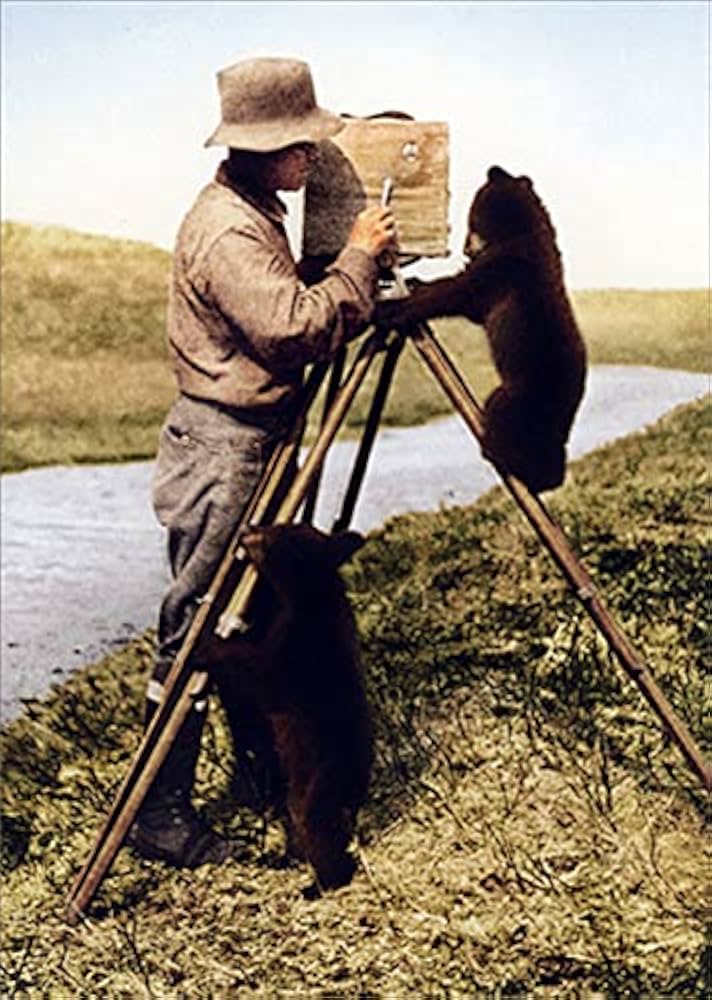front of card is a man with a tripod next to a creek and two bear cubs are climbing up