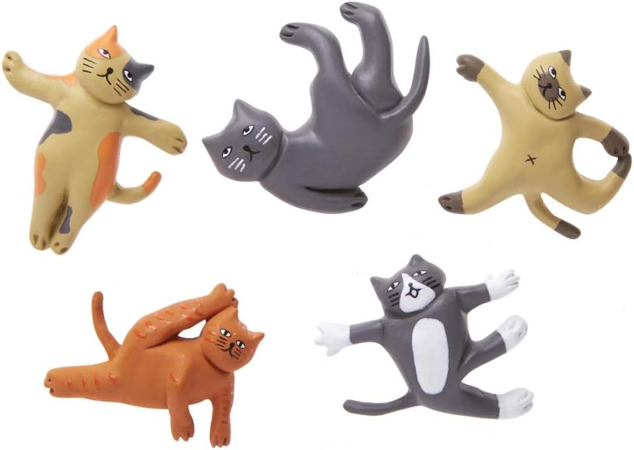 5 assorted yoga cat magnets on a white background.