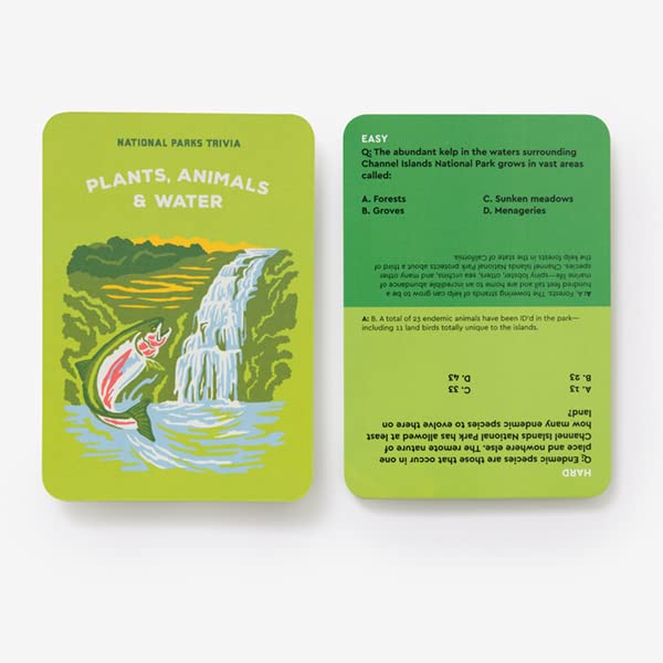 2 sample trivia cards on a white background.