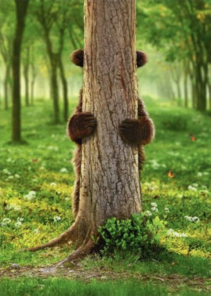 front of card is a bear standing behind a tree with his arms wrapped around it in a forest