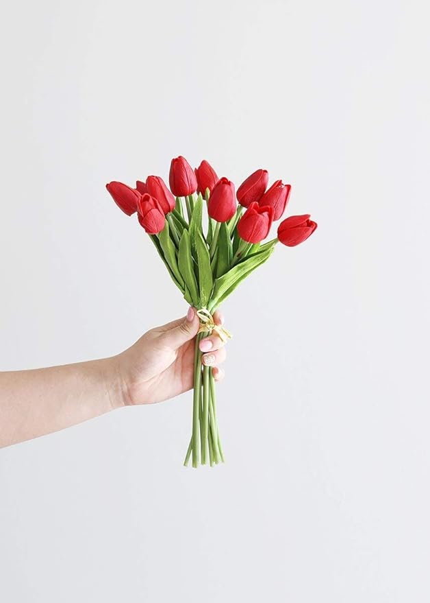 hand holding a bundle of red tulips on a white background.