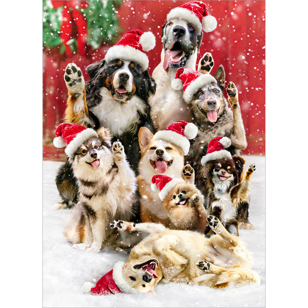 front of card is group of dogs in snow with santa hats on