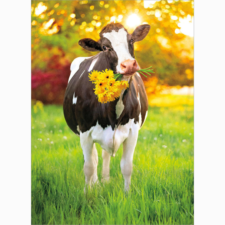 front of card is a cow with yellow flowers in her mouth standing in grass
