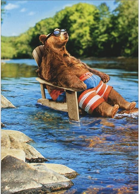 front of card is a brown bear lounging in a wooden chair in a creek with green trees in the background