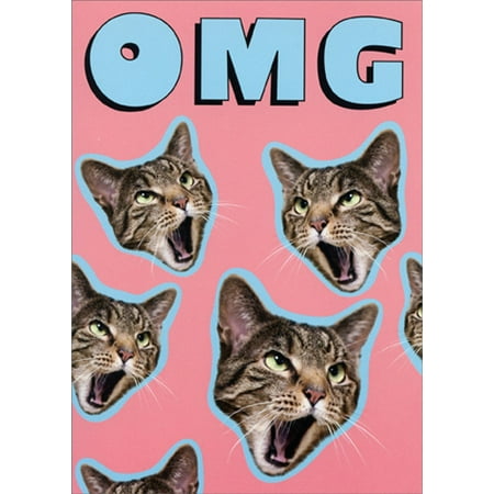 front of card is cut out photographs of cats heads on a pink background with front text in blue