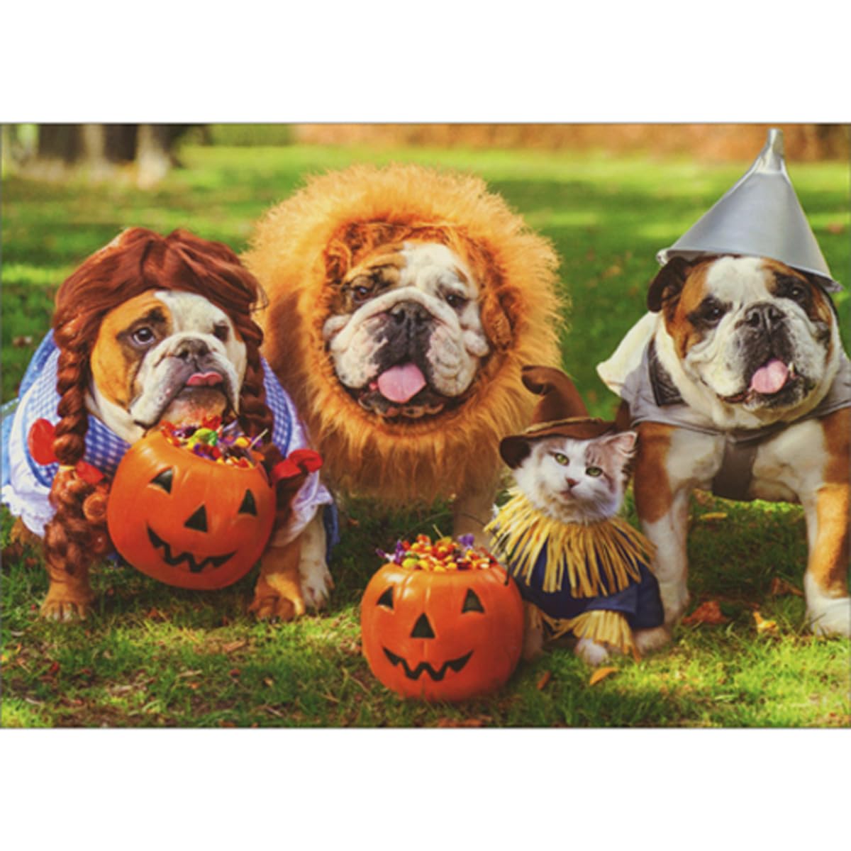 Avanti - Three Bulldogs In Costumes Halloween Card