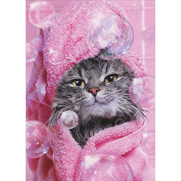 photo of a grey cat wrapped in pink towel with bubbles and pink tile wall