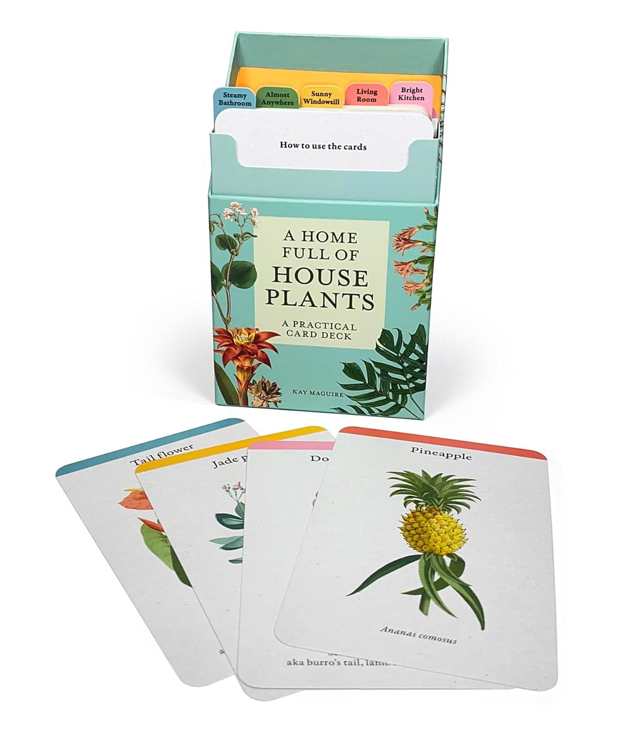 Card deck with house plant illustrations and a box labeled 'A Home Full of House Plants' on a white background.