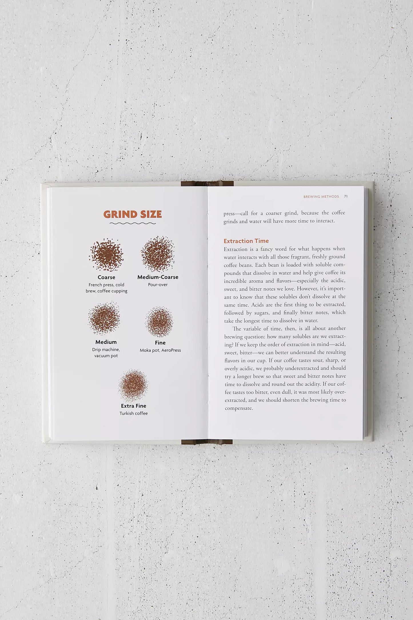 Stuff Every Coffee Lover Should Know by Candace Rose Rardon