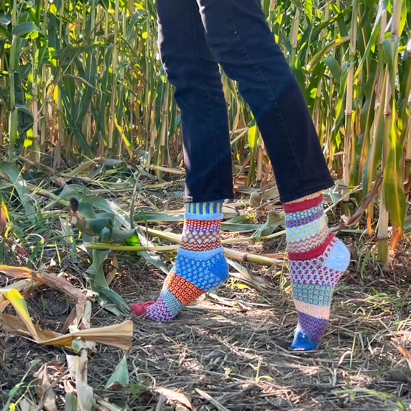 person wearing Fig Crew Socks and jeans tip-toeing through a corn field