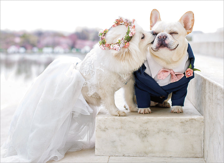 front of card has a small dog wearing a wedding dress and floral wreath kissing a boy dog wearing a tux