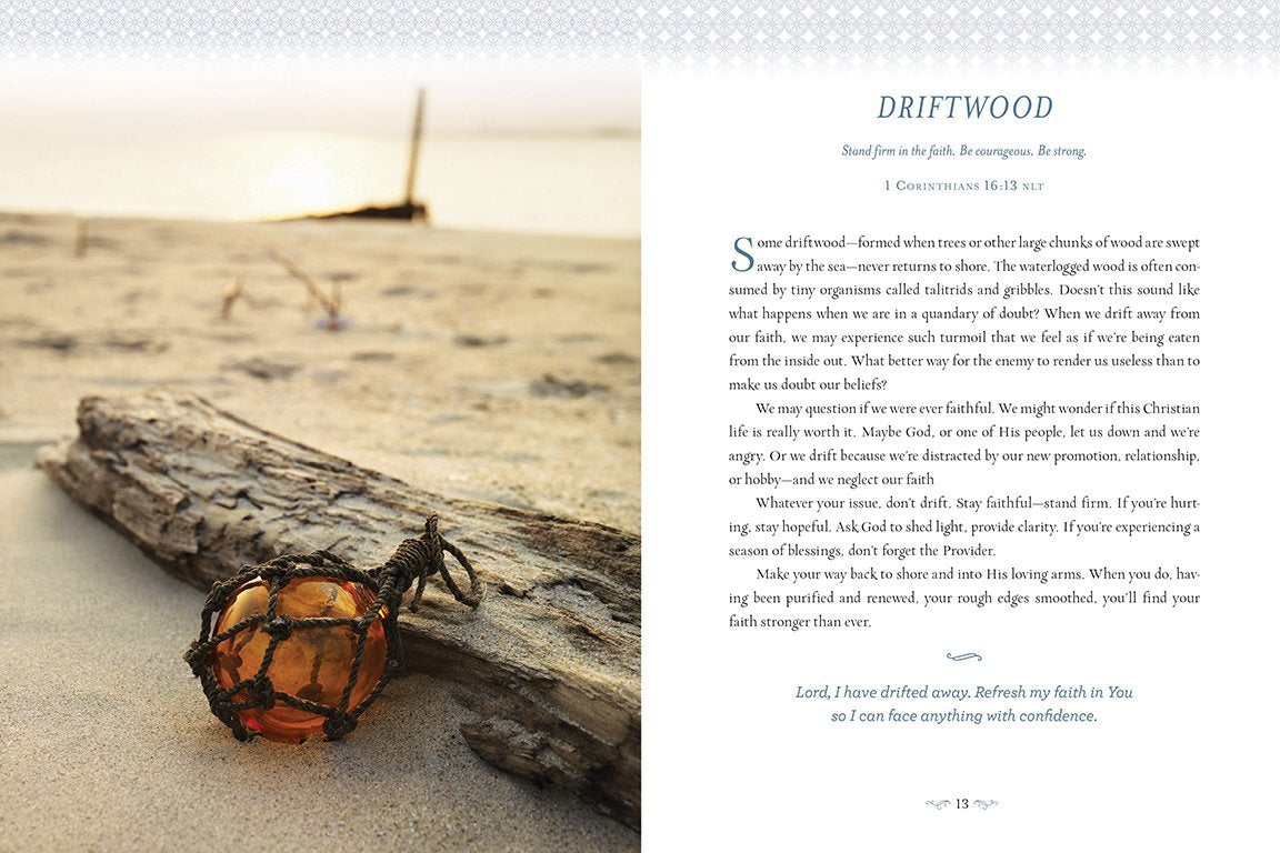 pages of book with photo of driftwood on a beach and the "driftwood" section.