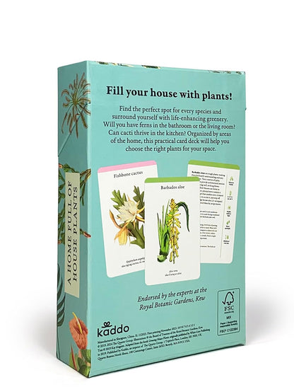 back view of box of house plant cards