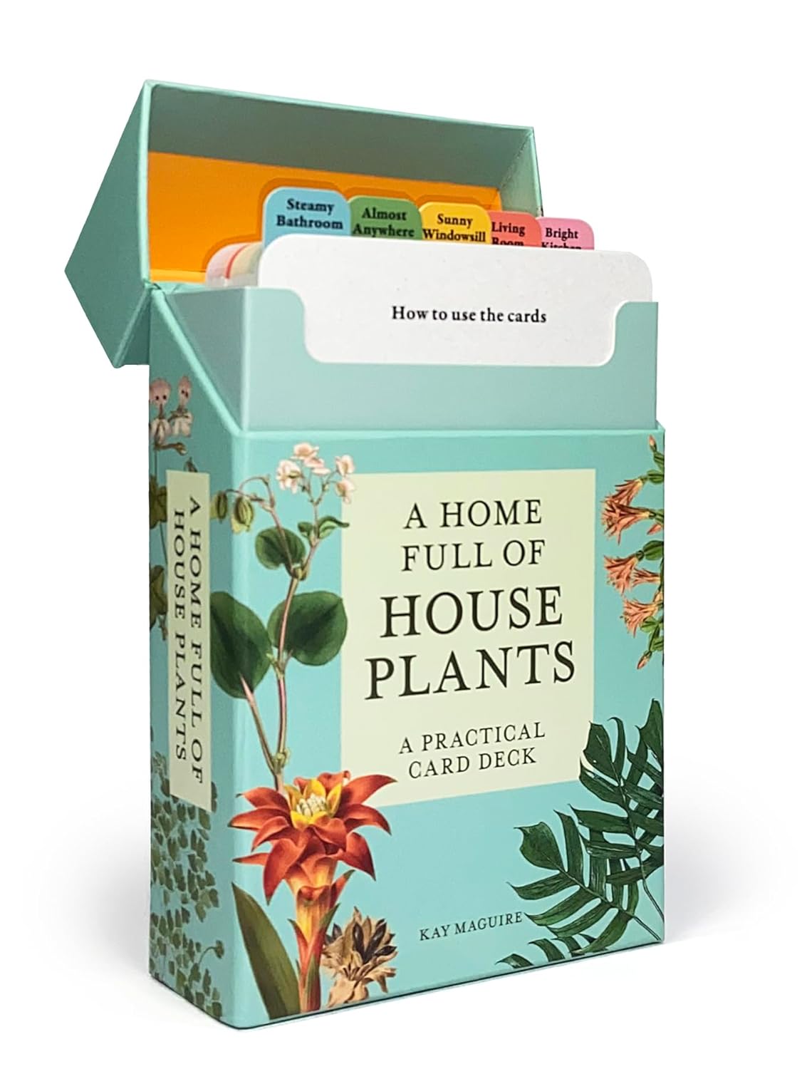 open box of Card deck packaging titled 'A Home Full of House Plants' on a white background