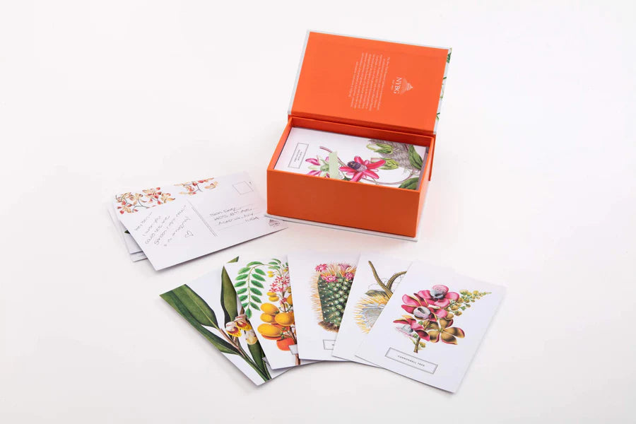 open box of botanical postcards with postcards scattered about
