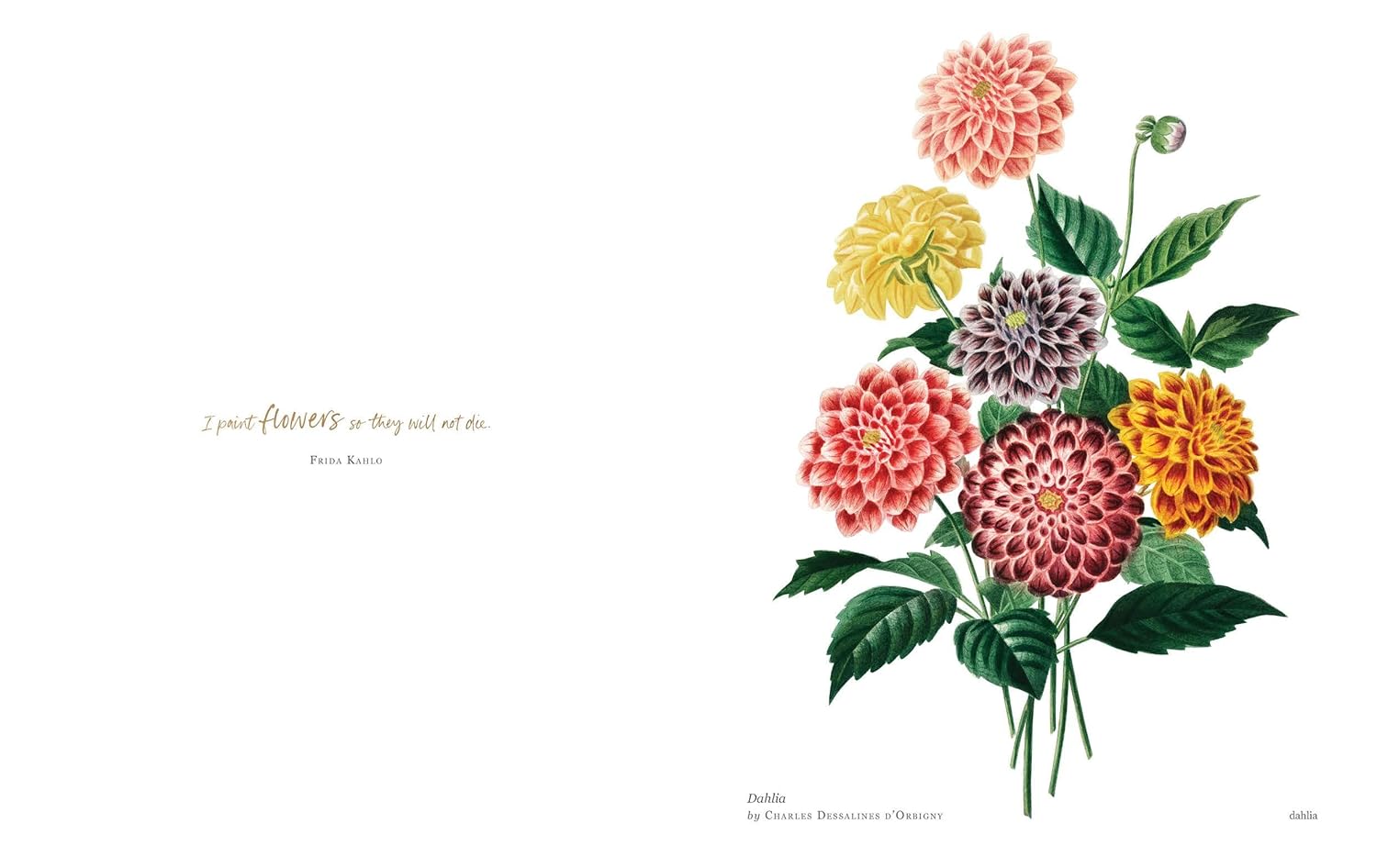 pages from Biblioflora book with Colorful bouquet of flowers with green leaves  and quote from frida kalid on a white background